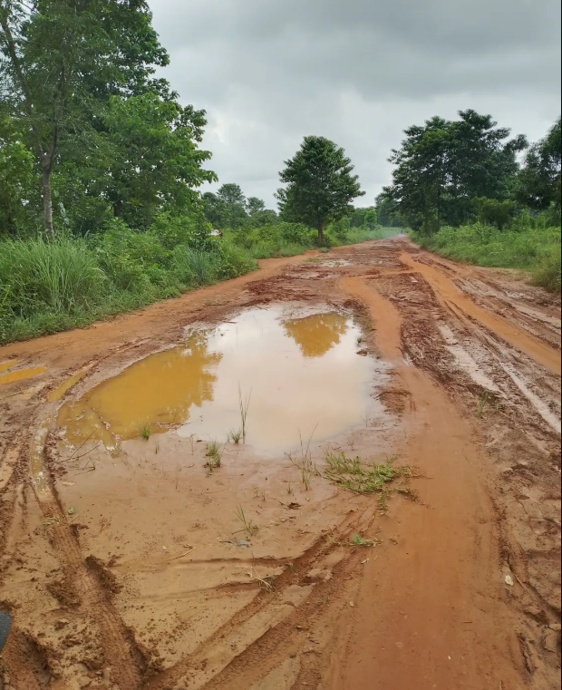 Inside the big business of Abakiliki rice farming