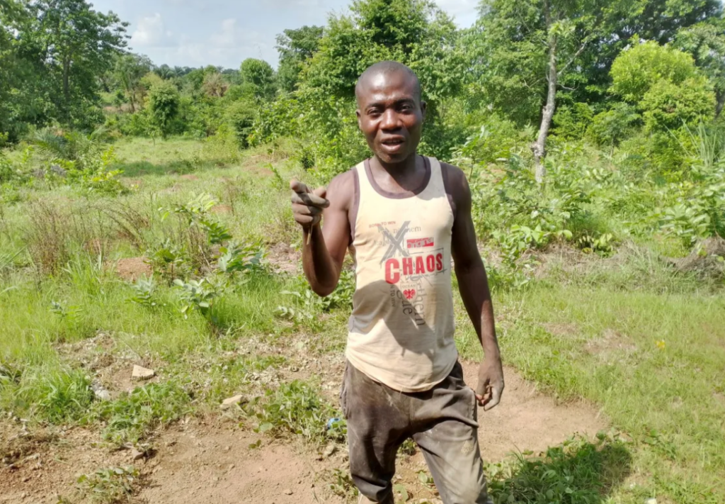 Inside the big business of Abakiliki rice farming